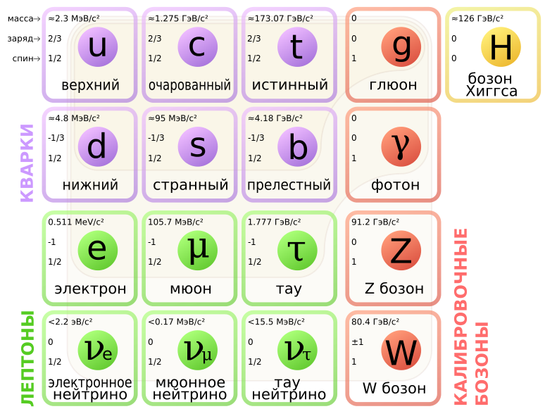 Элементарные частицы. Стандартная модель